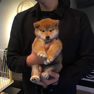 青娱乐极品麻豆
