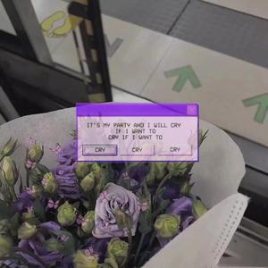 青娱乐极品麻豆
